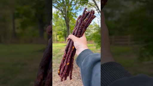 Homemade Beef Sticks Recipe (In Description)