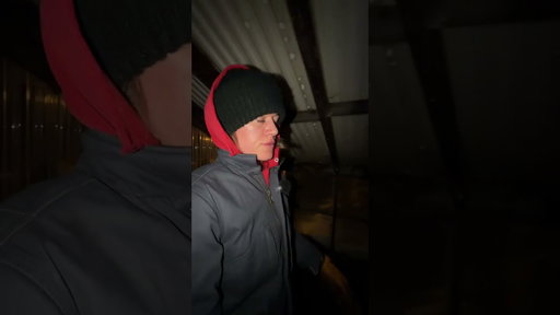 snug as a bug in a rug #homestead #vlog #winter #snow #mountains