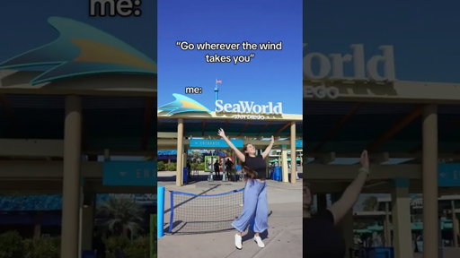 wherever the wind takes you📍SeaWorld San Diego
