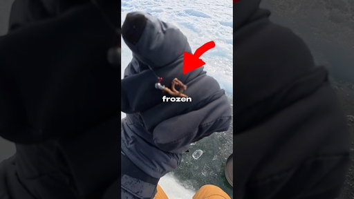 Ice Fishing Catch and Cook 🐟🎣