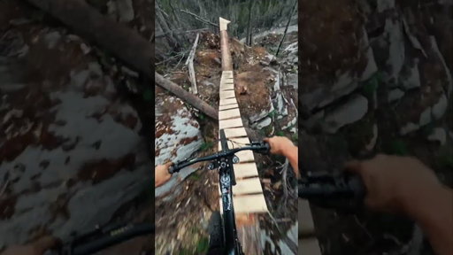 This Ramp Was A Roller Coaster 🎢