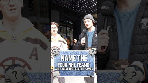 Can you name all four teams?? #hockey #nhlhockeyislife #nhltrivia #hockeyvideos