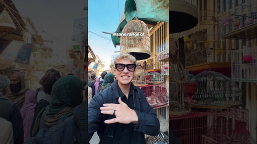 250 Year Old Afghanistan Bird Market 🤯 #afghanistan #travel
