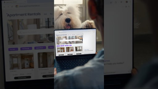 Look no further | Meet Gemini in Chrome
