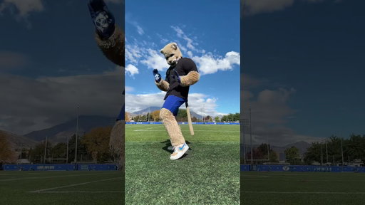 heard Taylor likes cats 😼 #cosmo #football #taylorswift