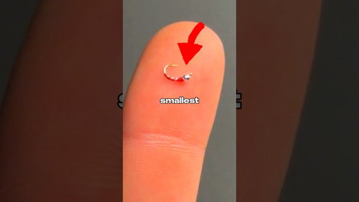 I Tested the SMALLEST Fishing Lure 🐟🎣