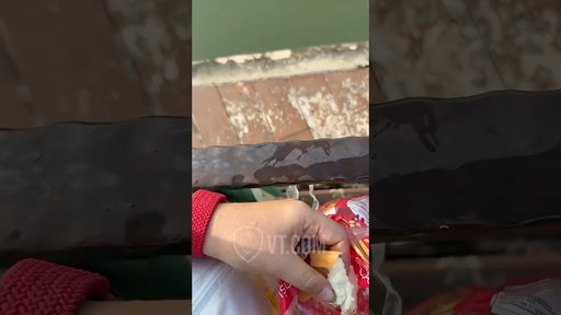 Fish SPITS On Man Over Piece Of Bread 😂🐟