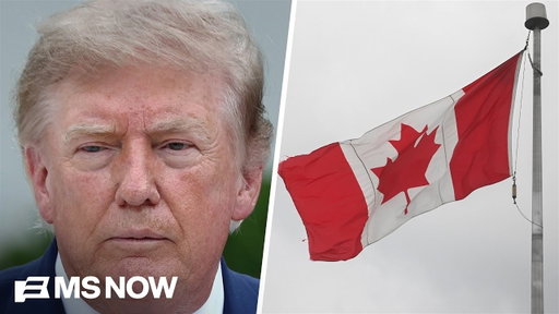 'Lies and smears about Canada are offensive': REACTION to Trump's trade war