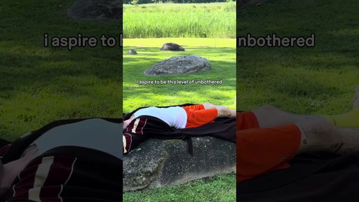 mentally I’m still on this rock