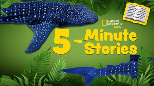 5 Minute Stories Book Read-Along 📚 | Whale Shark Rescue 🐳🦈 | @natgeokids