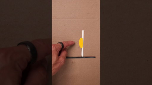EGG YOLK POSITION?