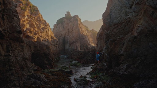 within the intertidal
