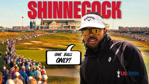 Can One Ball Survive Shinnecock Hills?