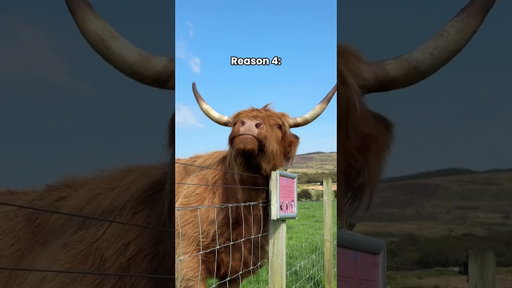 10 reasons why you absolutely NEED to visit Scotland in 2026 👀🏴󠁧󠁢󠁳󠁣󠁴󠁿