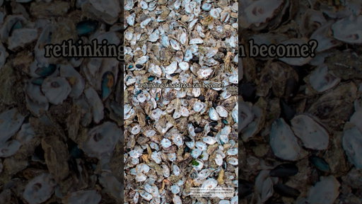 Turning trashed oyster shells into stunning porcelain… is this the future of rethinking garbage? 🦪