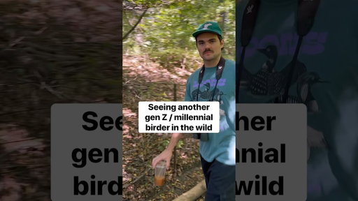 Seeing another young birder in the wild