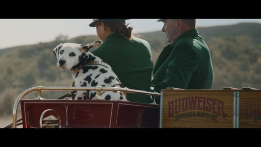 Budweiser | Great Delivery