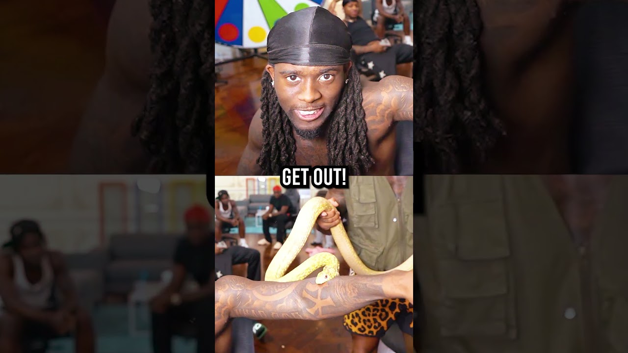 A Snake Bites Kai Cenat On Stream 😱