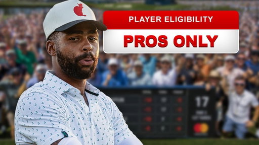 I played in a Pro Tournament