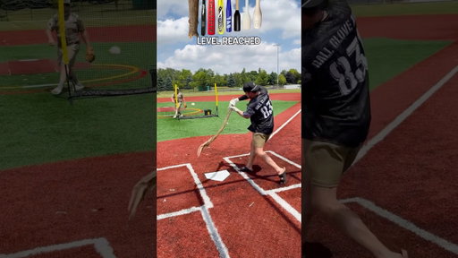 Every Hit SHRINKS The Bat