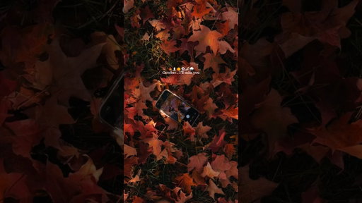 October 🍁 I’ll miss you 😭🎃 #october #fallseason #halloween #halloweenvibes #spookyseason #fall