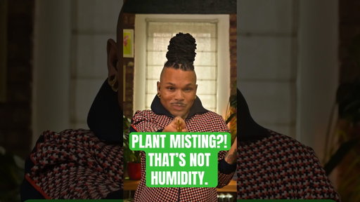Why misting is actually bad for your plants 🪴🌿🌱👀 #plants #gardening #indoorgardener