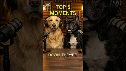 Goldie & Frenchie Top 5 Funny Moments