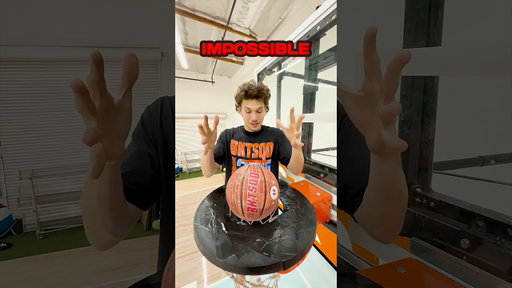 IMPOSSIBLE BASKETBALL SHOT