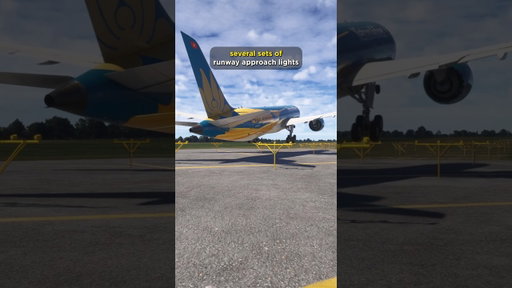 Airplane nearly Crashes during Takeoff.