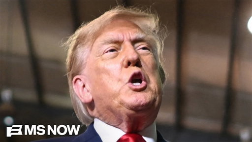'I should've gotten a Pulitzer for writing': Trump gives 'ADDLED' speech about deserving more awards