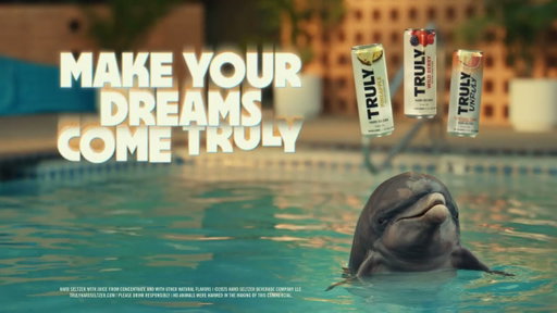 Truly Hard Seltzer | Porpoise Delivery