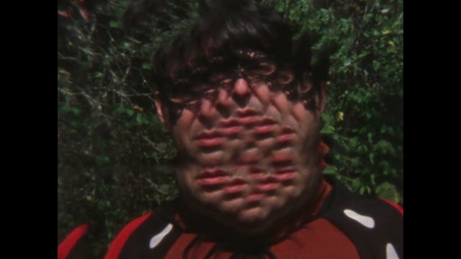 Jim E. Brown - I Urinated on a Butterfly