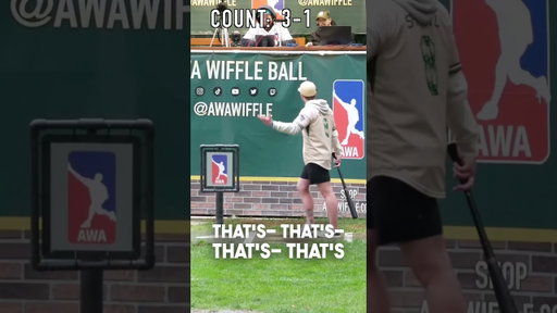 Do You Agree With The Batter?😤 #dingersornothing #wiffleball #baseball #shorts