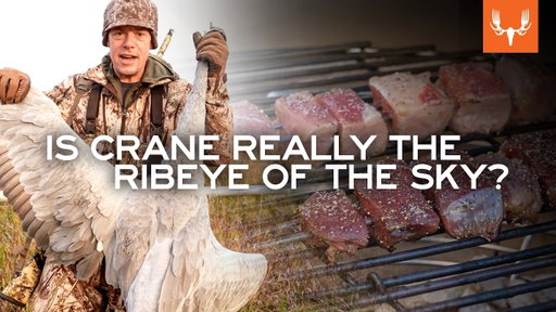 Is Sandhill Crane as Good as Ribeye Steak? | with Steven Rinella