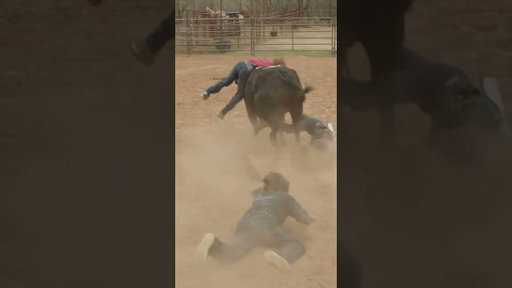 Not sure if Dale Brisby is bull fighting or trying to Steer Wrestle #WreckFesk Wreck #rodeo