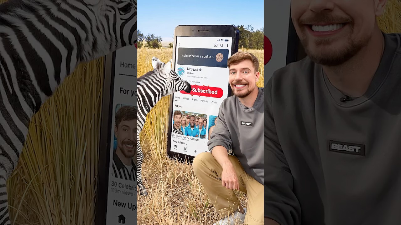 Will a Zebra Subscribe to me?