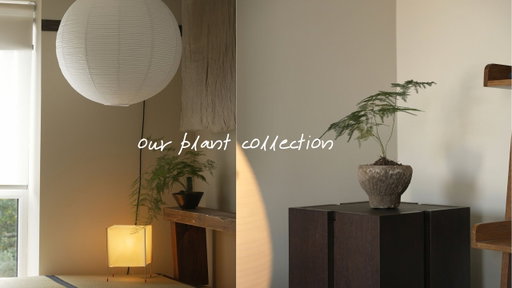 Plant Tour I Our collection of sculptural plans