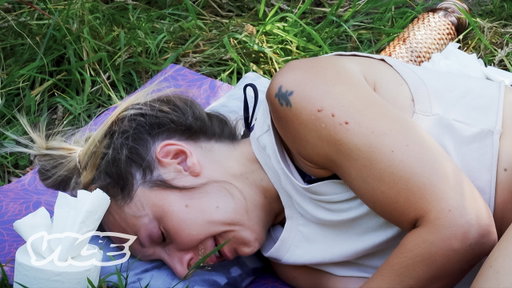 Inside The Poison Frog Venom Craze That's The Suburb's Hot New Drug - High Society