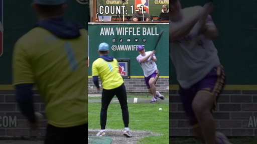 Do you Agree with the Batter?🤔 #dingersornothing #wiffleball #baseball #shorts