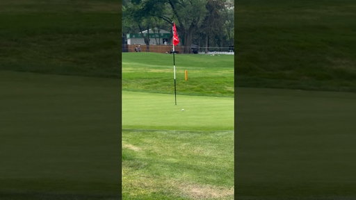 What a shot from Tom McKibbin 🤌 #shorts #golf
