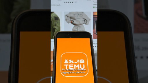How is Temu so cheap?