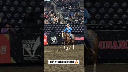 Riley Webb earns $12,533 to further break his own record for season earnings. 💰