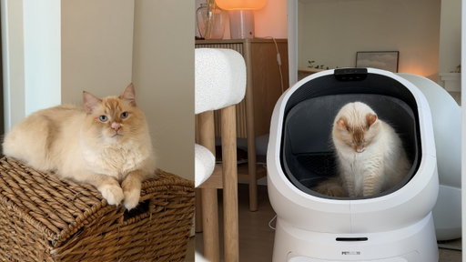 I Tried a $600 AI Self-Cleaning Litter Box… Worth It? 🐱