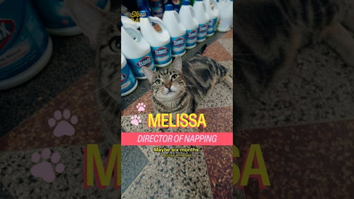 Meet Melissa in Crown Heights