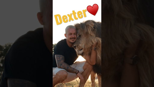 What would you say to Dexter?♥️