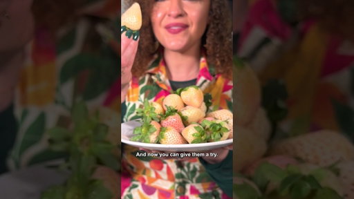Misfits Market | Why We Love Pineberries
