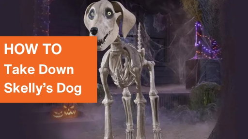 How to Take Down Skelly's Dog