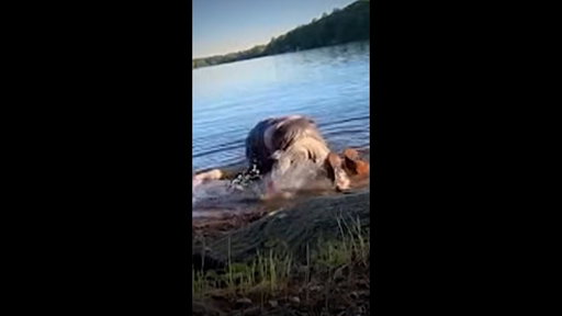 71-year-old charged after alleged attempted drowning