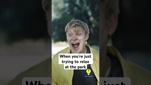 PLEASE don’t feed the birds #comedy #relatable #shorts