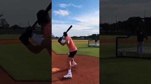 Gronk and Brady play baseball